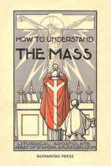 How to Understand the Mass